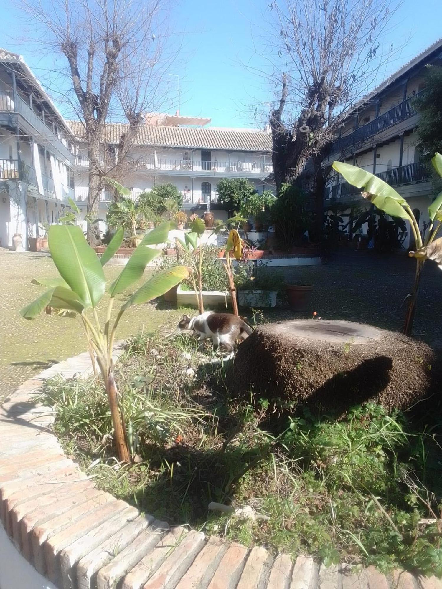 Apartamento Corral Montelucia Siglo Xvi Sevilla